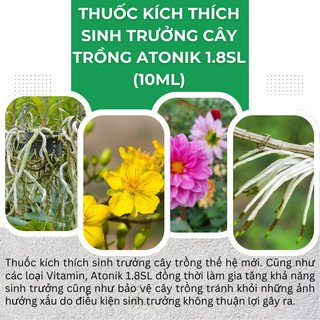 Thuốc Kích Thích Sinh Trưởng Cây Trồng ATONIK 1.8SL (chai 100ml), kích rễ cực mạnh