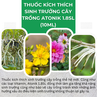 Thuốc Kích Thích Sinh Trưởng Cây Trồng ATONIK 1.8SL (gói 10ml), kích rễ cực mạnh