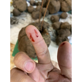 Củ bình vôi đỏ khô sạch,an thần gây ngủ mạnh