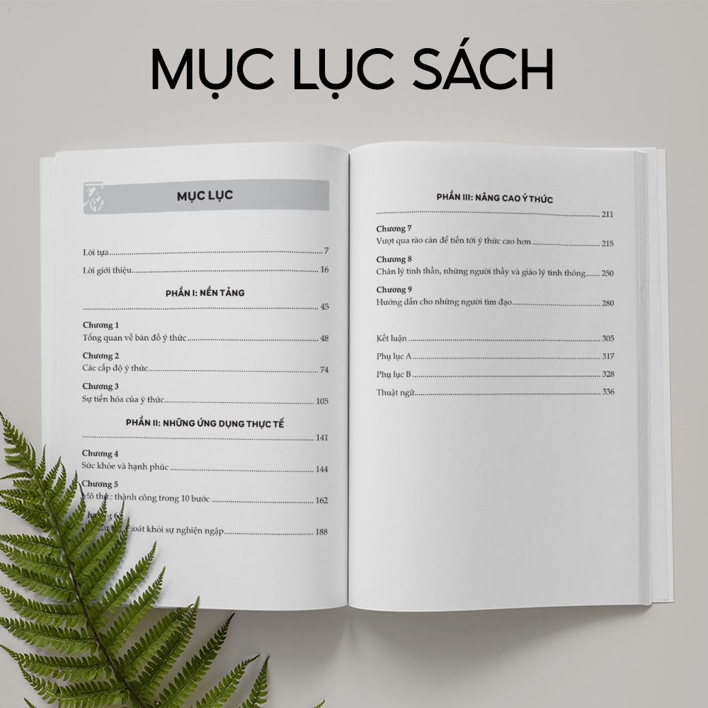 Ảnh Combo Sách Tần Số: Bản Đồ Về Ý Thức Và Nâng Cao Tần Số Rung Động Mỗi Ngày - Bizbooks 3