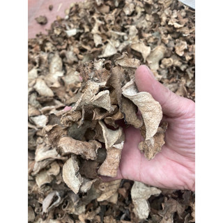 Củ bình vôi đỏ khô sạch,an thần gây ngủ mạnh
