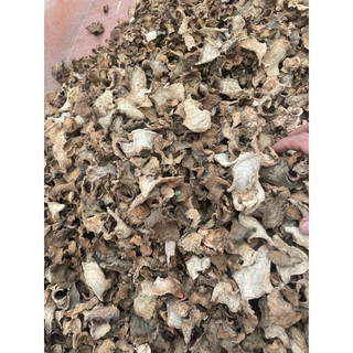 Củ bình vôi đỏ khô sạch,an thần gây ngủ mạnh