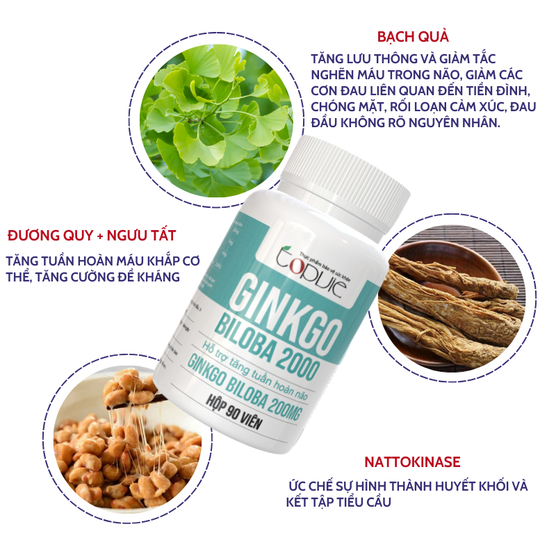 Ưu điểm Topvie Ginkgo Biloba 2000