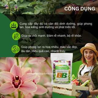 Phân Hữu Cơ 18-36 Túi Lọc Tan Chậm Bounce Back, Dạng Túi Lưới Cho Phong Lan (200gram/500gram)