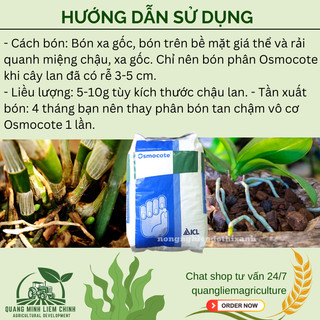 Phân Tan Chậm Hạt Vàng Osmocote 14-14-14  Không Sốc Cây Khi Bón (BÁN LẺ 1 LẠNG)
