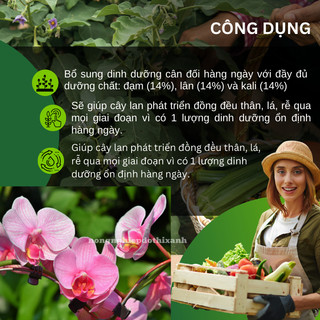 Phân Tan Chậm Hạt Vàng Osmocote 14-14-14  Không Sốc Cây Khi Bón (BÁN LẺ 1 LẠNG)