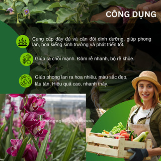 Phân Trùn Quế Viên Nén Minro, Dạng Túi Lưới (36 Túi/Gói)