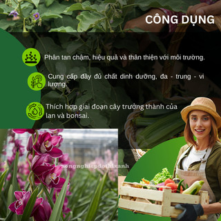 Phân Hữu Cơ Túi Lưới Cao Cấp Rapid Raiser - Bonsai Cây Kiểng – (Gói 500gram/36 Túi Nhỏ 6gram)