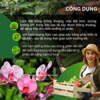 Phân Dê Sạch Đã Qua Xử Lý Phơi Khô, chuyên dùng cho phong lan cây kiểng Bonsai (Gói 500GRAM/1KG)