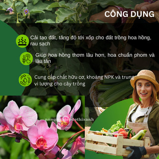 Phân Dơi Nguyên Chất Thuận Phát Cho Hoa Hồng, Hoa Kiểng Hoa Lan - Túi 150gram/500gram