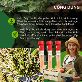 Thuốc kích chồi, ra hoa Keiki Duy Spray Đỏ bôi trực tiếp (đánh thức mầm ngủ) – Lọ 15ml