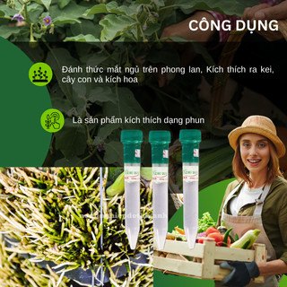 Thuốc kích chồi cho Lan Keiki Duy Spray màu Xanh (lọ 15ml)