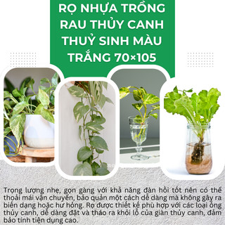 COMBO 2 CÁI] Rọ nhựa trồng rau thủy canh 70×105mm, trồng thủy sinh, màu trắng kem