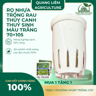 COMBO 2 CÁI] Rọ nhựa trồng rau thủy canh 70×105mm, trồng thủy sinh, màu trắng kem