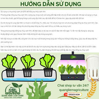 COMBO 2 CÁI] Rọ nhựa trồng rau thủy canh 70×105mm, trồng thủy sinh, màu trắng kem