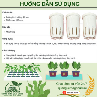 COMBO 2 CÁI] Rọ nhựa trồng rau thủy canh 70×105mm, trồng thủy sinh, màu trắng kem