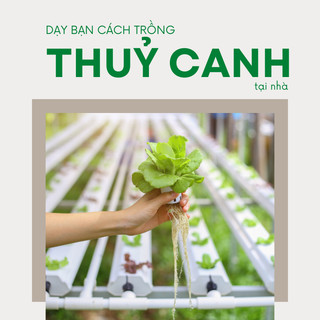 COMBO 2 CÁI] Rọ nhựa trồng rau thủy canh 70×105mm, trồng thủy sinh, màu trắng kem