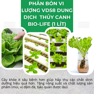 Phân Bón Vi Lượng VD58, Dung Dịch Trồng Thủy Canh, Thủy Sinh Bio-Life (1 Lít), thủy canh tĩnh
