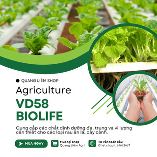 Phân Bón Vi Lượng VD58, Dung Dịch Trồng Thủy Canh, Thủy Sinh Bio-Life (1 Lít), thủy canh tĩnh