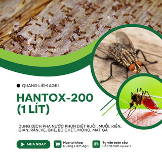 Dung dịch pha nước diệt kiến, gián, ve, rận, bọ chét Hantox-200 (1 Lít) - Sản phẩm Cty Dược Hanvet