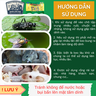 Keo dính chuột Siêu Dính (có mồi), Miếng keo dán chuột, Miếng bẫy chuột, bẫy ruồi Hàn Quốc
