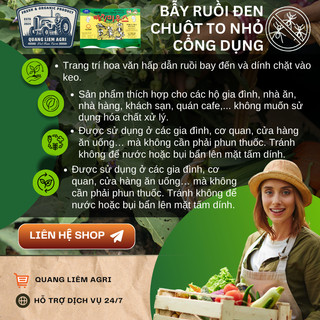 Keo dính chuột Siêu Dính (có mồi), Miếng keo dán chuột, Miếng bẫy chuột, bẫy ruồi Hàn Quốc