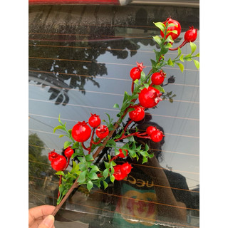 lựu phú quý💥 lựu phú quý 60cm💥