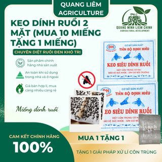 [COMBO 5 MIẾNG] Keo Dính Ruồi 2 Mặt Siêu Dính, Dính Chuột, miếng to, Nhiều Keo