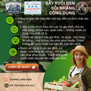 [COMBO 5 MIẾNG] Keo Dính Ruồi 2 Mặt Siêu Dính, Dính Chuột, miếng to, Nhiều Keo