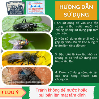 [COMBO 5 MIẾNG] Keo Dính Ruồi 2 Mặt Siêu Dính, Dính Chuột, miếng to, Nhiều Keo