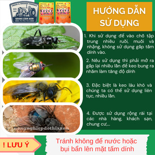 Keo dính ruồi Siêu Dính (có mồi), Miếng keo dán ruồi, Miếng bẫy ruồi HÀN QUỐC Glue Traps