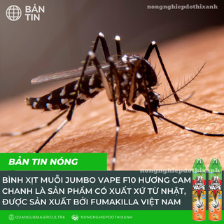 Chế phẩm xịt côn trùng, xịt muỗi Jumbo vape, hương cam chanh (chai 600 ml)