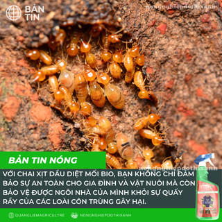 Dầu Diệt Mối Bio - Trừ Mối Ruồi Muỗi Kiến Gián, Rận, Rệp, Bọ Chét (Chai 550ml)