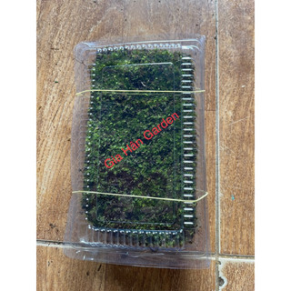 RÊU XANH LOẠI VIP DÙNG ĐẮP CHẬU CÂY CẢNH , CÂY BONSAI,HÒN NON BỘ…vvv