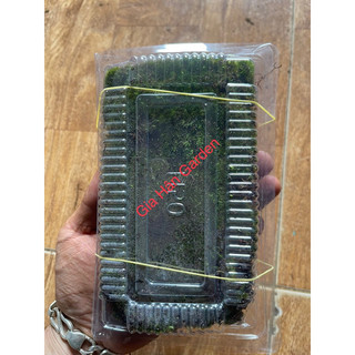 RÊU XANH LOẠI VIP DÙNG ĐẮP CHẬU CÂY CẢNH , CÂY BONSAI,HÒN NON BỘ…vvv