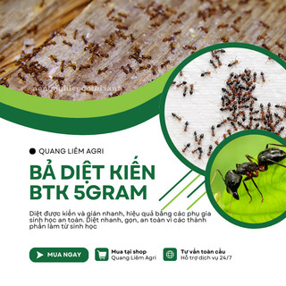 Thuốc trừ kiến, bả diệt kiến, bả trừ kiến tận gốc BTK (gói 5gram) - Siêu hiệu quả, an toàn sử dụng