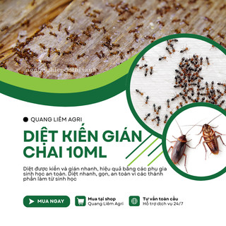 Thuốc Diệt Kiến Gián Sinh Học tận gốc, an toàn, không độc hại (chai 10ml)