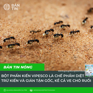 Bột Phấn Kiến VIPESCO (Túi 50gr) - Diệt trừ kiến tận ổ kiến gián, tiêu diệt côn trùng nhanh gọn