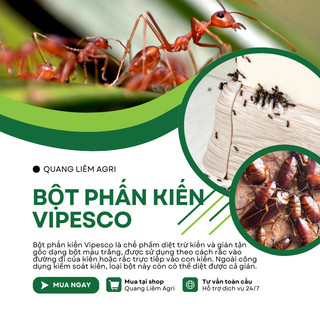 Bột Phấn Kiến VIPESCO (Túi 50gr) - Diệt trừ kiến tận ổ kiến gián, tiêu diệt côn trùng nhanh gọn