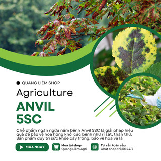 Chế Phẩm Xử Lí Nam Benh Anvil 5SC 100ml, 250ml, 1 Lít  - Xử Lí Rỉ Sắt, Thán Thư