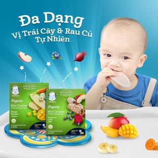 Bánh Gạo Ăn Dặm Gerber Teethers 48G Đủ Vị Cho Bé Từ 7 Tháng babyhome