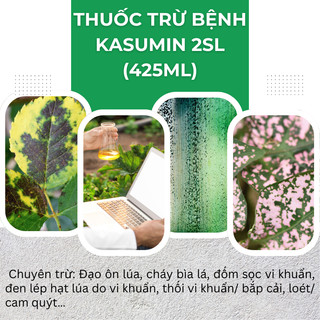 Chế phẩm xử lí nấm benh Kasumin 2SL, vàng lá vi khuẩn, đốm lá, đốm sọc, thối nhũn (425ml)