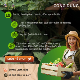Chế phẩm xử lí nấm benh Kasumin 2SL, vàng lá vi khuẩn, đốm lá, đốm sọc, thối nhũn (425ml)