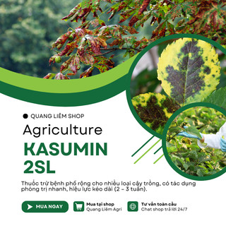 Chế phẩm xử lí nấm benh Kasumin 2SL, vàng lá vi khuẩn, đốm lá, đốm sọc, thối nhũn (425ml)