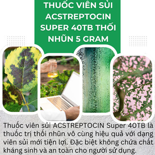 Chế phẩm xử lí thối nhũn ACSTREPTOCIN Super 40TB, trừ thối nhũn - Gói 5 gram viên sủi