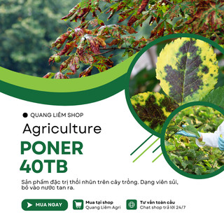 Chế phẩm xử lí thối nhũn Poner - 40TB, xương mai đốm thân cho hoa lan và dạng viên sủi (5gram)