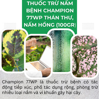 Chế phẩm xử lí nam benh Champion 77WP ADC, Phòng trừ thán thư, nấm hồng (gói 100gram)