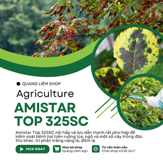 Chế phẩm xử lí nam benh Amistar Top 325SC, Nội hấp và  lưu dẫn mạnh - Chai 100ml/250ml