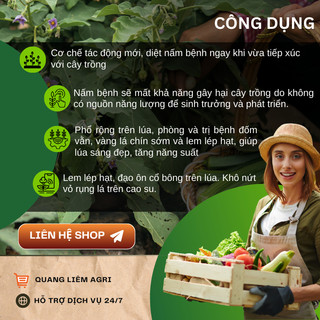 Chế phẩm xử lí nam benh Amistar Top 325SC, Nội hấp và  lưu dẫn mạnh - Chai 100ml/250ml