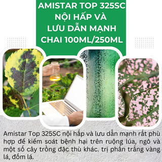 Chế phẩm xử lí nam benh Amistar Top 325SC, Nội hấp và  lưu dẫn mạnh - Chai 100ml/250ml